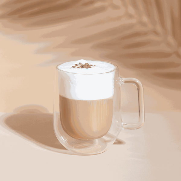 Double Glass Mug